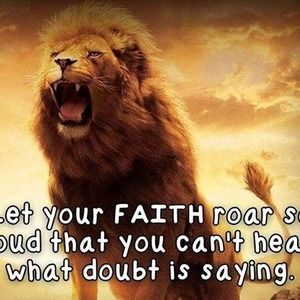 Meet your Posher, Wanda